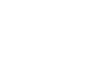 logo-grenade-white