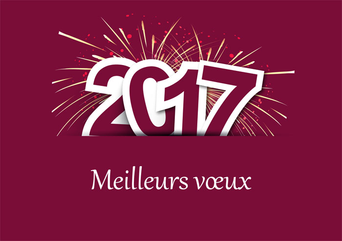 Ordre du Jour du Conseil Municipal du mardi 13 décembre 2016